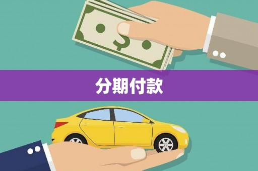 东阿分期付款