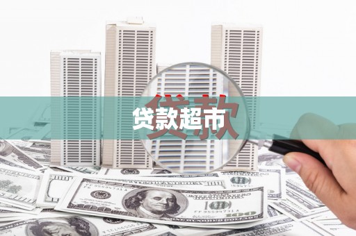 东阿贷款超市