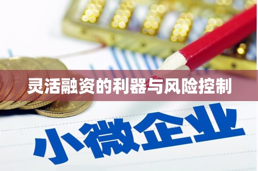东阿灵活融资的利器与风险控制
