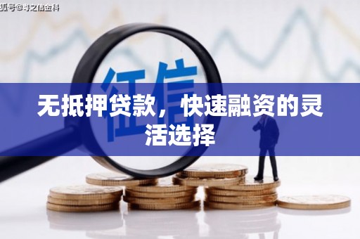 东阿无抵押贷款，快速融资的灵活选择