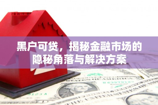 东阿黑户可贷，揭秘金融市场的隐秘角落与解决方案