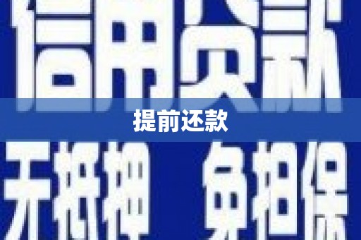 东阿提前还款