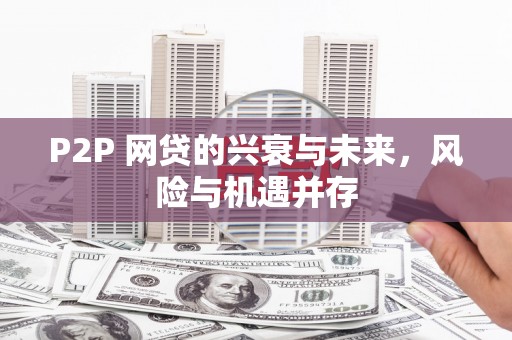 东阿P2P 网贷的兴衰与未来，风险与机遇并存