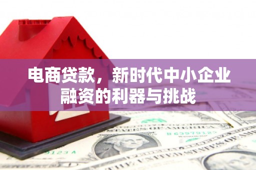 东阿电商贷款，新时代中小企业融资的利器与挑战