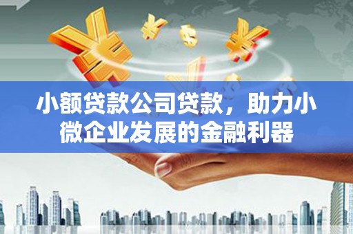 东阿小额贷款公司贷款，助力小微企业发展的金融利器