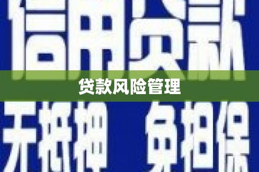 东阿贷款风险管理