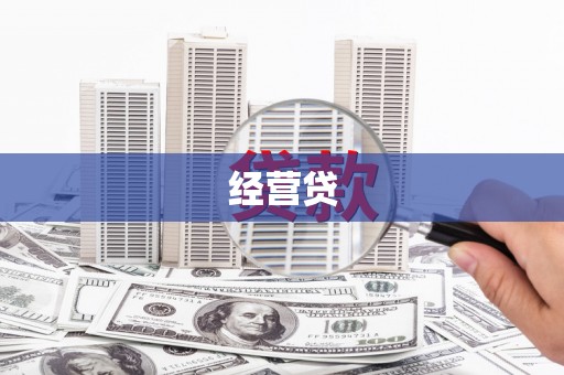 东阿经营贷
