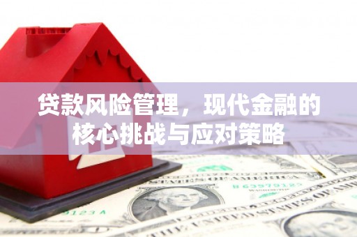 东阿贷款风险管理，现代金融的核心挑战与应对策略