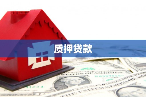 东阿质押贷款