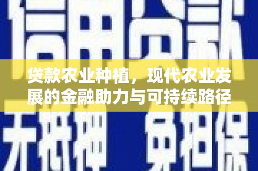 东阿贷款农业种植，现代农业发展的金融助力与可持续路径