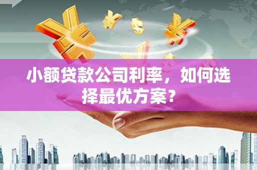 东阿小额贷款公司利率，如何选择最优方案？