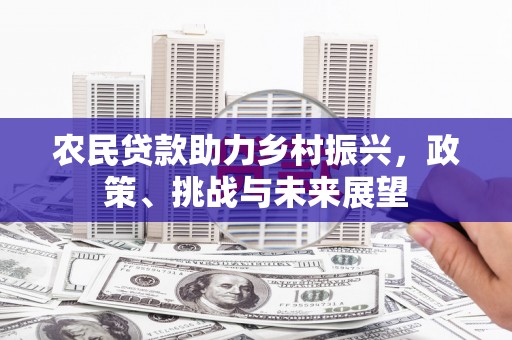 东阿农民贷款助力乡村振兴，政策、挑战与未来展望