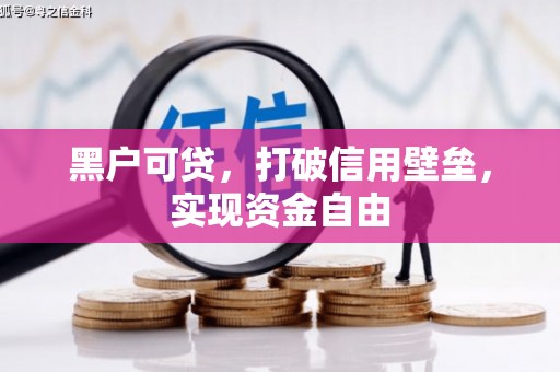 东阿黑户可贷，打破信用壁垒，实现资金自由