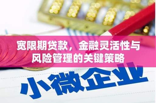 东阿宽限期贷款，金融灵活性与风险管理的关键策略