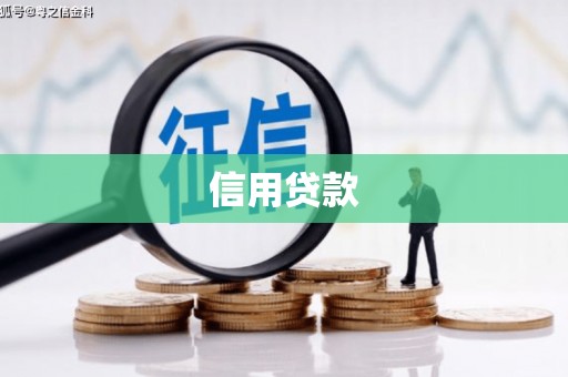 东阿信用贷款