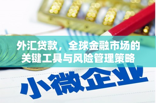 东阿外汇贷款，全球金融市场的关键工具与风险管理策略