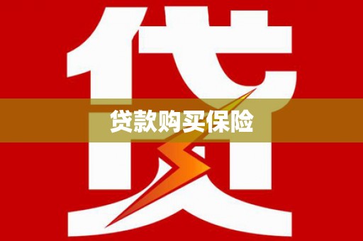 东阿贷款购买保险