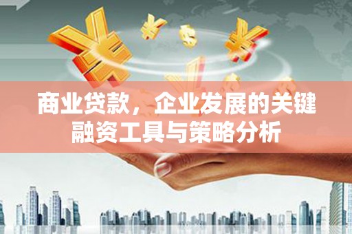 东阿商业贷款，企业发展的关键融资工具与策略分析
