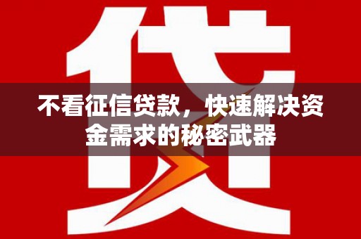 东阿不看征信贷款，快速解决资金需求的秘密武器