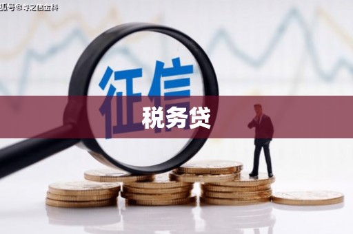 东阿税务贷