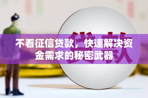 东阿不看征信贷款，快速解决资金需求的秘密武器
