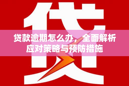 东阿贷款逾期怎么办，全面解析应对策略与预防措施