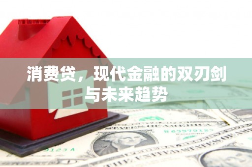 东阿消费贷，现代金融的双刃剑与未来趋势