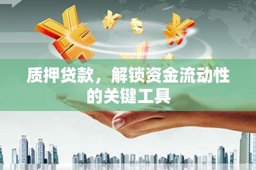 东阿质押贷款，解锁资金流动性的关键工具