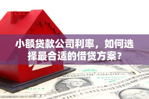 东阿小额贷款公司利率，如何选择最合适的借贷方案？