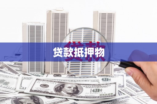 东阿贷款抵押物