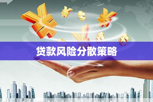 东阿贷款风险分散策略
