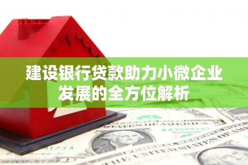 东阿建设银行贷款助力小微企业发展的全方位解析