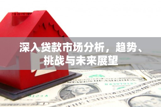 东阿深入贷款市场分析，趋势、挑战与未来展望