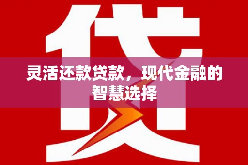 东阿灵活还款贷款，现代金融的智慧选择