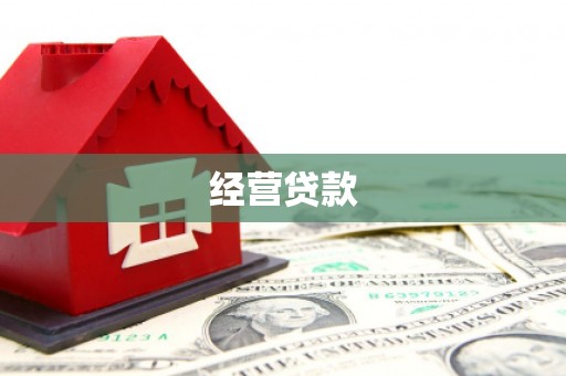 东阿经营贷款