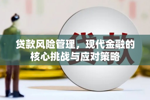 东阿贷款风险管理，现代金融的核心挑战与应对策略