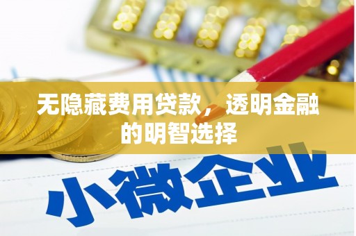 东阿无隐藏费用贷款，透明金融的明智选择