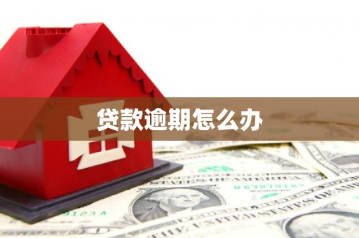 东阿贷款逾期怎么办