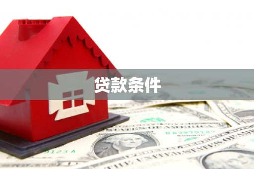 东阿贷款条件