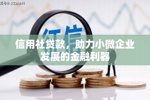 东阿信用社贷款，助力小微企业发展的金融利器
