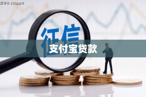东阿支付宝贷款