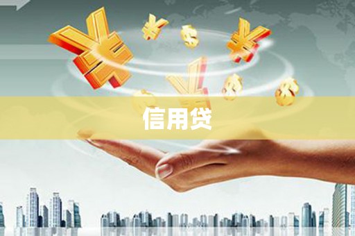 东阿信用贷