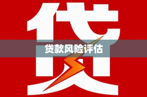 东阿贷款风险评估