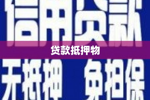 东阿贷款抵押物