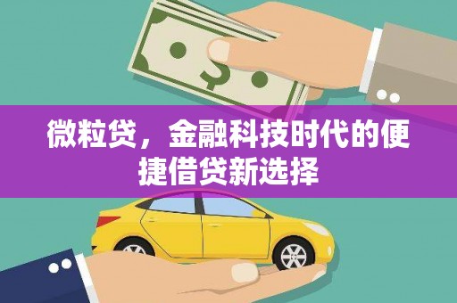 东阿微粒贷，金融科技时代的便捷借贷新选择