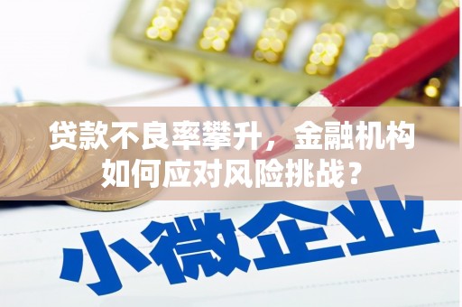 东阿贷款不良率攀升，金融机构如何应对风险挑战？