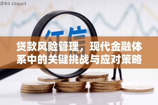 东阿贷款风险管理，现代金融体系中的关键挑战与应对策略