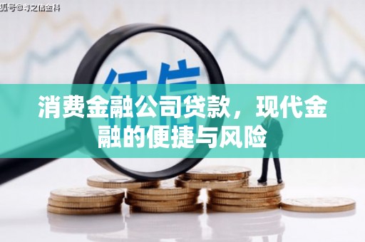 东阿消费金融公司贷款，现代金融的便捷与风险