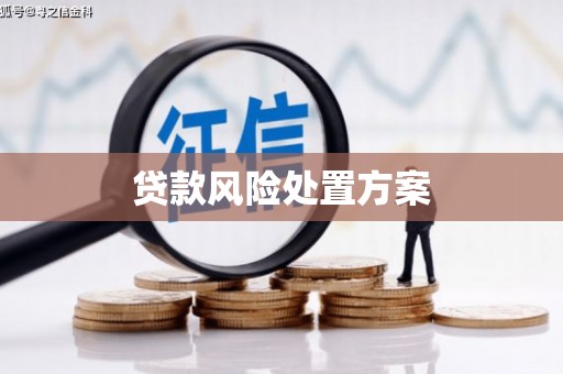 东阿贷款风险处置方案
