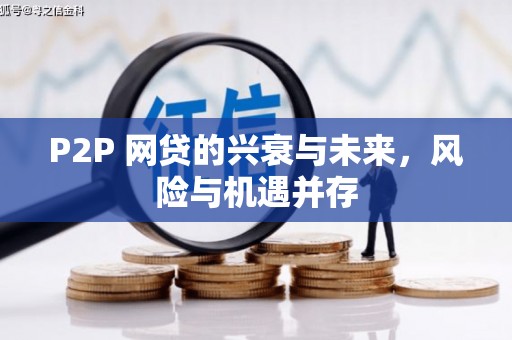 东阿P2P 网贷的兴衰与未来，风险与机遇并存